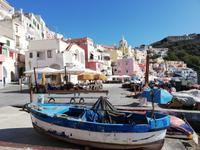 Procida