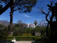 Ravello 16