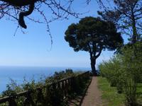 Ravello 7