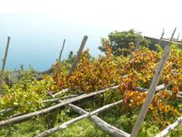 Ravello im Oktober 17