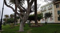 Reggio Calabrio 20190422 110140