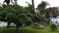 Reggio Calabrio 20190422 110231