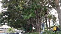 Reggio Calabrio 20190422 140406