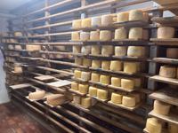 Reichlich Käse
