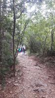 Rilkeweg (Sentiero Rilke) von Duino nach Sistiana