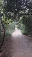 Rilkeweg (Sentiero Rilke) von Duino nach Sistiana