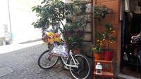 Rom (Altstadt - Via dei Coronari)