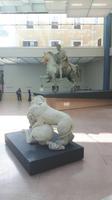 Rom (Kapitolinische Museen - Reiterstandbild des Kaisers Marc Aurel)