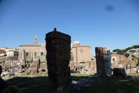 Rom, Forum Romanum (28)