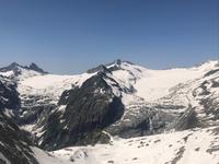 Rundblick