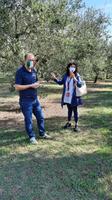 Rundreise Süd-Italien - Besuch einer Ölmühle mit Verkostung