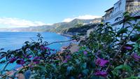 Rundreise Süd-Italien - Rundgang in Scilla