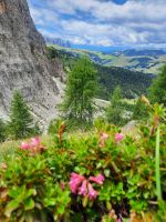 Rundwanderung um den Langkofel