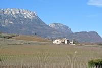 Südtiroler Weinstraße