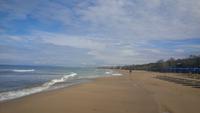 San vincenzo 