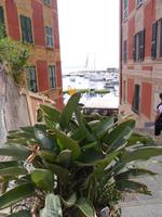 Santa Margherita