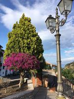 Savoca (7)