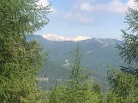 Schneeblick
