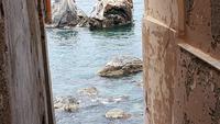 Scilla 20190422 153305
