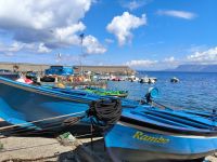 Scilla Hafen