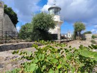 Scilla Leuchtturm