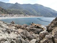 Scilla am Strand