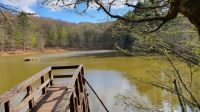 See in der Foresta Umbra