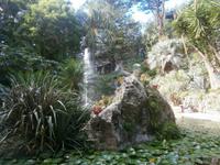 Seerosenteich im La Mortella Gardene