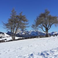 Seiser Alm