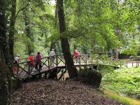 Serra San Bruno Waldspaziergang
