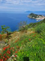 Sestri Levante 