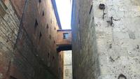 Siena (Altstadt)