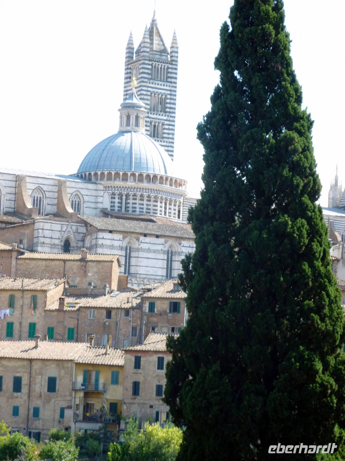Siena, Dom