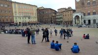 Siena,Piazza del Campo