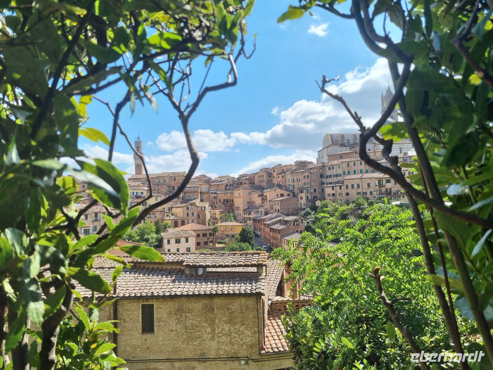 Siena