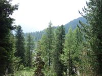 Single-Wanderreise Brenta-Dolomiten & Trentino – Nord-Italien (15).JPG