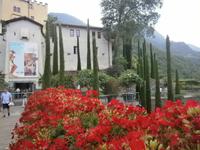 Sommer in Schloss Trautmannsdorf