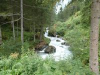 Spazierweg  Park 