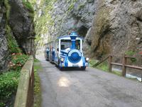 Spazierweg  Park 