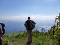 Stille