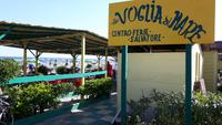 Strand der Ferienanlage (3)