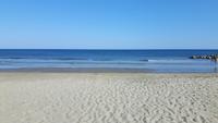 Strand der Ferienanlage (6)