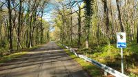 Strasse in die Foresta Umbra