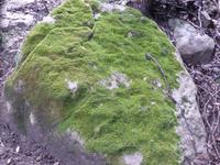 Tag 2: Gesunde Natur.