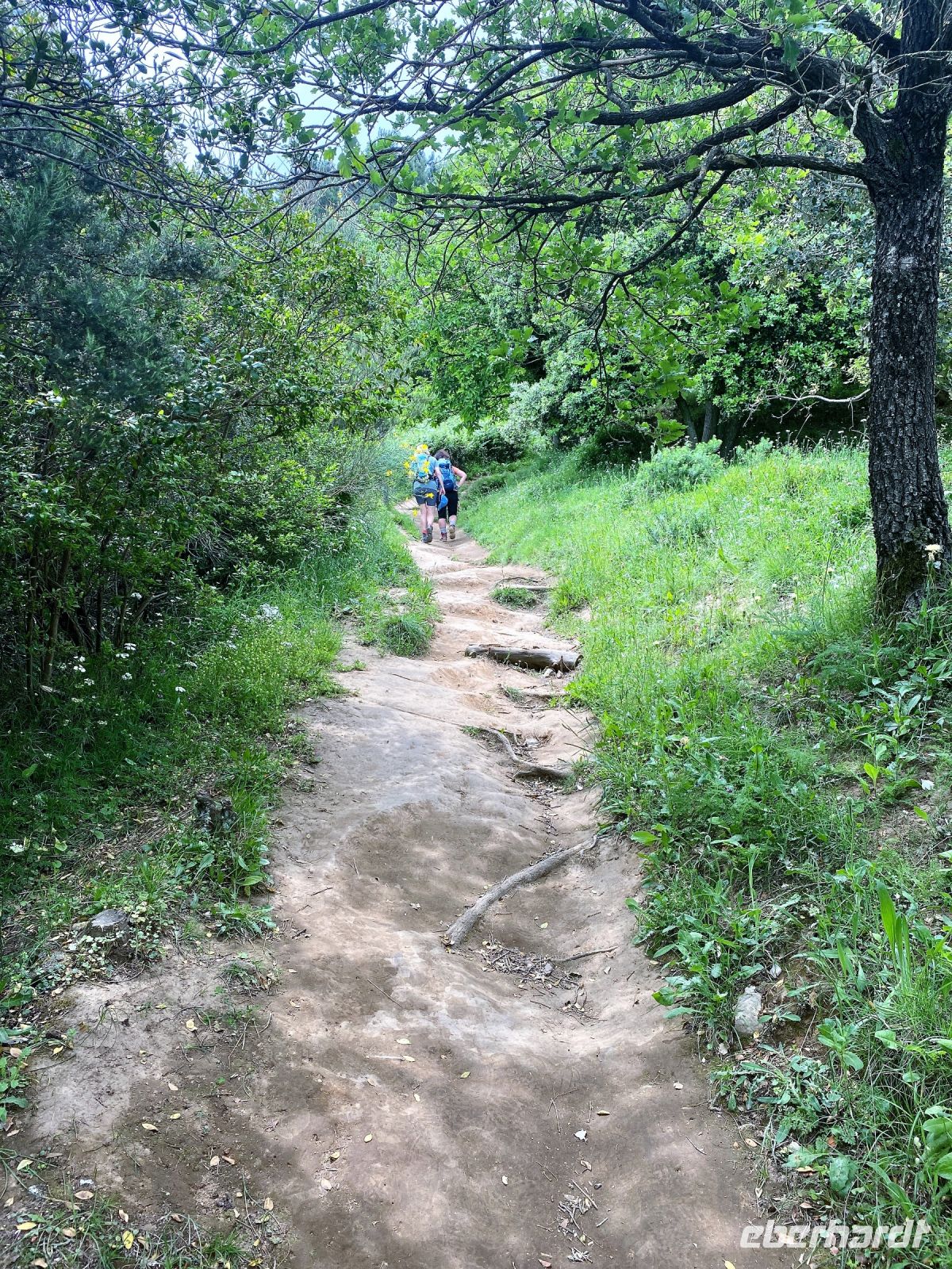 Tag 6 - Der Weg.jpg