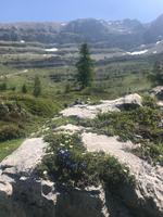 Talblick