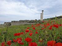 Tharros