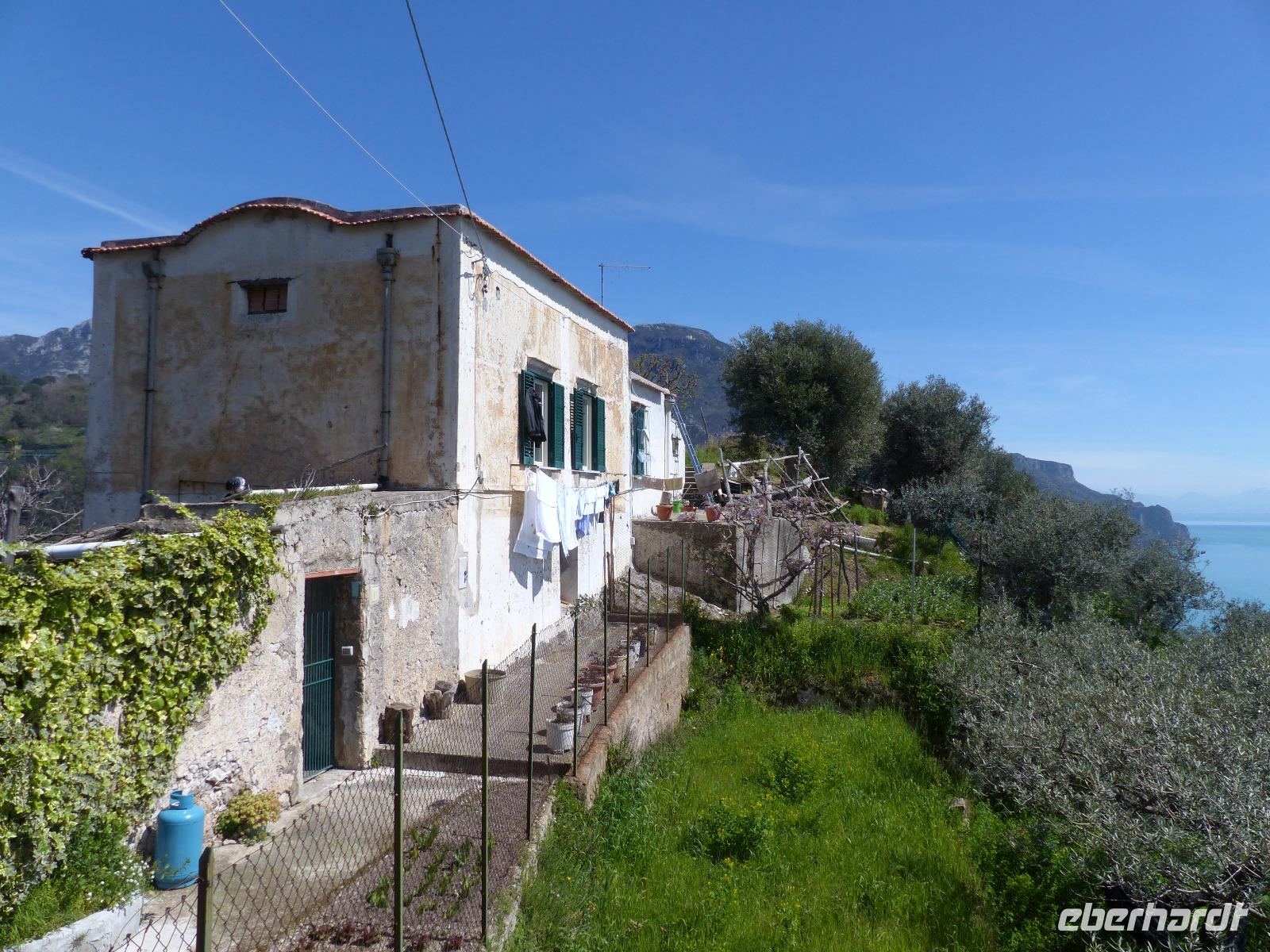 Torello 3