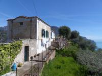 Torello 3