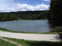 Tretsee